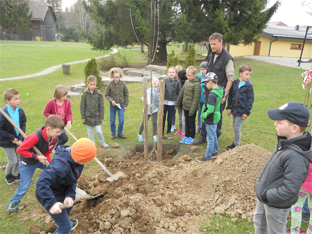 Der OGV pflanzt mit den VS-Kindern einen Baum